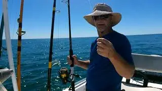 Catching red snapper, triggerfish and giant sharks nearshore in Panama City on 4-13-24, part 1.