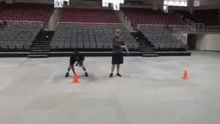 Pro Agility Shuttle