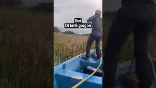 GORGON TIMAH TASOH #fishing #angler #casting #fishinglife #monsterfish #strike