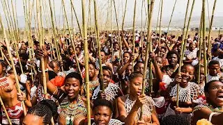 Afrique du Sud : des jeunes filles dansent devant le roi des Zoulous