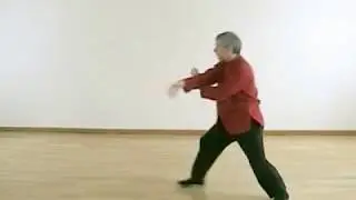 Ta&iuml; Chi Chuan (Taijiquan). Encha&icirc;nement rapide (extrait).