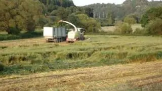 Claas Jaguar 980 mit Direct Disc 610 im Einsatz f&uuml;r Biogasanlage