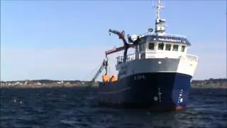 Fiske med snurrevad vest av Karm&oslash;y