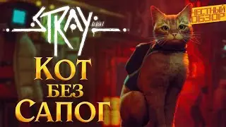 Обзор Stray | Приключения кота без сапог - ЧЕСТНЫЙ ОБЗОР