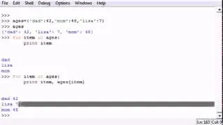 Python Programming Tutorial   26   Infinite Loops and Break