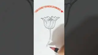 Easy Flower Drawing 🌷 | Simple Pencil Sketch ✏️ | Satisfying Art #Shorts