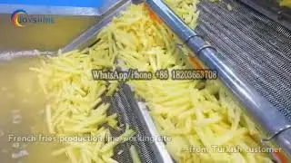 Fully automatic french fries production line for our Turkey client