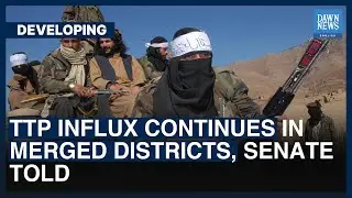 TTP Influx Continues In Merged Districts, Senate Told | Dawn News English