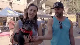 GoPro Mountain Games   A Dog's Perspective
