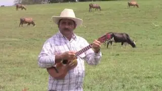 HUMBERTO DELGADO - ANHELANDO TU REGRESO