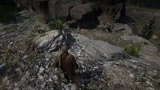 Ten Frames Per Second