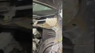 Why the DRUG CARTELS use HONDA ODYSSEY VANs #secret #cartel #hide