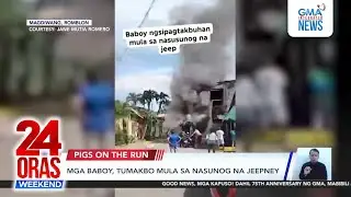 Pigs escape jeepney on fire | 24 Oras Weekend