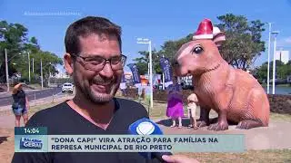 Cart&atilde;o postal de Rio Preto ganha mais charme com escultura de capivara