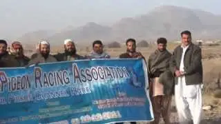 BALOUCHISTAN & SIND 350 KM PIGEON RACE  B P R A 14th February 2012.flv