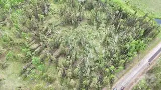 06-17-2025 Divide, Colorado - Tornado Damage 9118ft Above SeaLevel