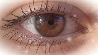 Light brown irises ༒