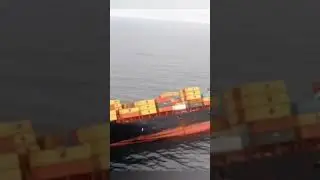 msc Elsa 3 accident