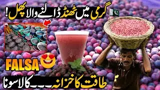 Pakistan's New Record | Falsa Farming in Pakistan | New Billion Dollars Industry of Pakistan