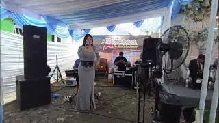 Endang Puspita Sari | Perceraian Lara || New Alfiannada - SA AUDIO