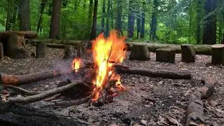 Inner and Outer Landscapes of Change - Harvesting