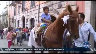 Isernia, tutto pronto per Festa Sant'Antonio