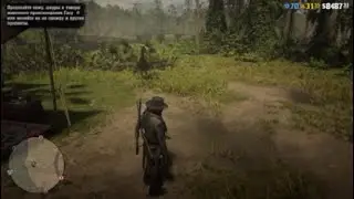 Red Dead Online