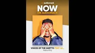 Bigboy Bling x Lee-Squad - Shuwiro