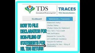 How to File Declaration for non Filing statements for Nil TDs Return