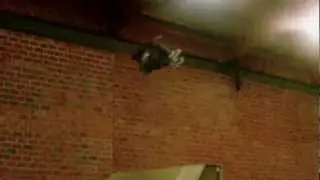 jeremy suarez flatspin 900
