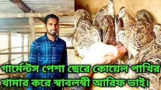 গার্মেন্টস চাকরি ছেরে কোয়েল পাখির খামার করে স্বাবলম্বী আরিফ ভাই।কোয়েল পাখির খামার,koyel pakhi palon.
