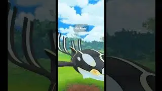 Don't use primal Legendaries in PVP #shorts