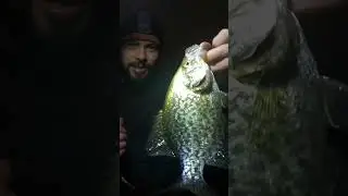 Cold Water || Fish Facts || Fishing at Night in Cold weather | Illinois Winter Fishing tips #fishing