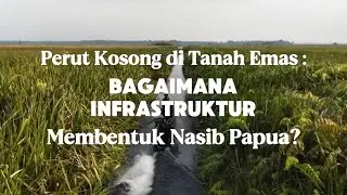 Perut Kosong di Tanah Emas: Bagaimana Infrastruktur Membentuk Nasib Papua?