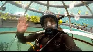 ScienceSea TV - Episode 2 of Diving In: Exploring Women in STEM with Joanna Smart