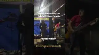 Andy Domínguez Peña con Richard Saavedra y Los Originales de la Cumbia 