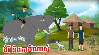 ដំរី នឹងតាចំណាស់ - Story In Khmer By Tola Film