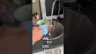How to Prepare Frozen Thawed Rats for Ball Pythons (So They Actually Eat)
