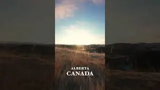 Flying Through a Frozen Prairie