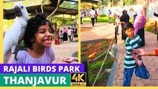 Explore RAJALI Birds Park Thanjavur | Fun Bird Watching Adventure for Kids and Families!