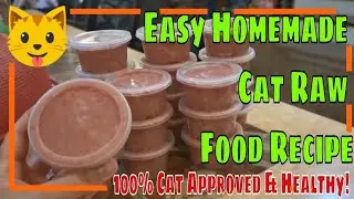 Easy Homemade Cat RAW Food Recipe Tagalog (Philippines)