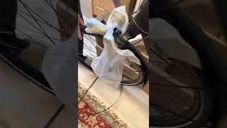 Велосипед за 200,000 тыс рублей (2,500&euro;)😳Neues elektro Fahrrad ,Fischer f&uuml;r 2,500 &euro; ПОДПИСКА ,ЛАЙК