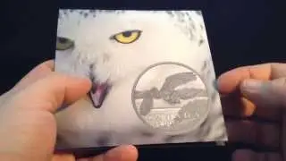 Snowy Owl $50 for $50 series unboxing