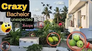 మాస్ మసాలా 🔥 || ఆంధ్ర మసాలా || మరమరాల మసాలా || Puffed Rice Masala || Bachelor Masala Vlog || Telugu