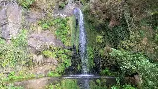 ЛЕВАДИ МАДЕЙРИ ОСОБЛИВОСТІ ВОДОЗАБЕЗПЕЧЕННЯ ОВОЧІ І ФРУКТИ РЕГІОНУ
