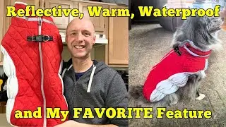 How to Keep Your Dog Warm &ndash; AOFITEE Winter Dog Coat Review