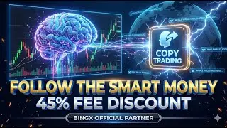 Follow The Top 1% Traders & Profit Without Thinking #BingX Welcome Bonus