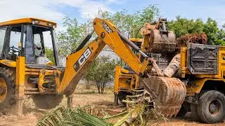 Two JCB 3DX BACKHOE Uprooting a coconut tree, moving to another location, and placing in the garden