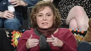 Roseanne Barr blames Ambien for racist tweet