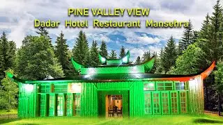 PINE VALLEY VIEW | Dadar | Hotel | Restaurant | Beautiful Place | Mansehra | Full Video | HD